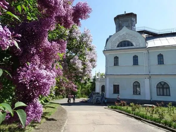 На бузок у Корсунь